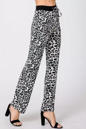 wholesale clothing leopard animal print tracker pants davi & dani