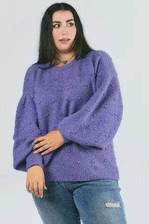 wholesale clothing plus solid round neeck sweater davi & dani