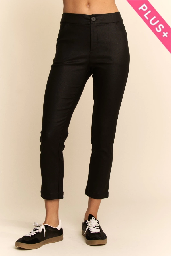 wholesale clothing plus length pants front button and zip closure davi & dani