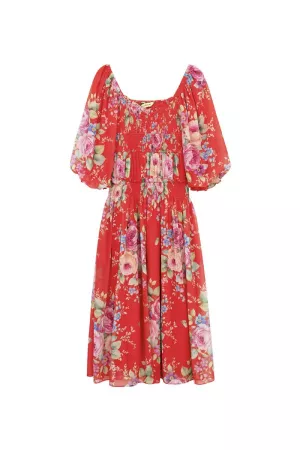 wholesale clothing flower printed chiffon maxi dress davi & dani