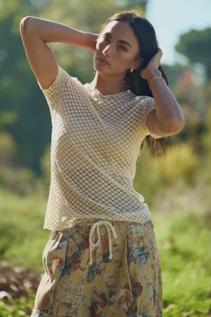 wholesale clothing short sleeve round neck dot lace mesh top davi & dani